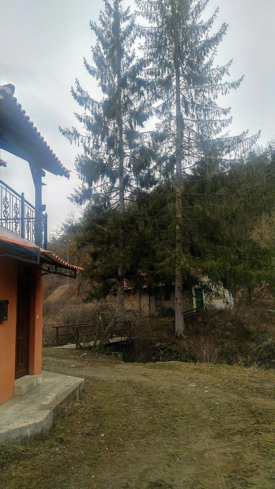 Giusvalla Forest Village Dego Ngoại thất bức ảnh