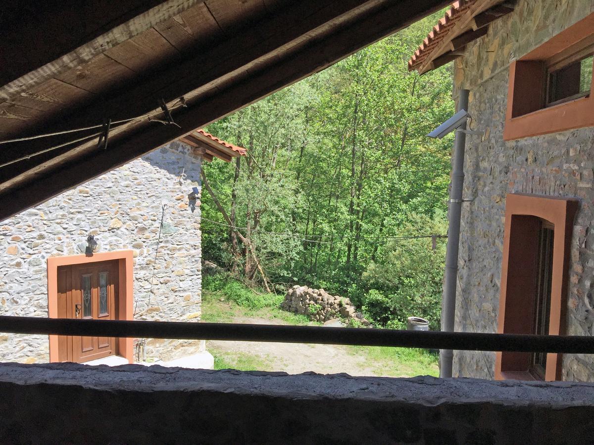 Giusvalla Forest Village Dego Phòng bức ảnh